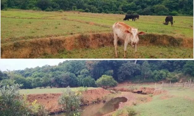 ಮಳೆಗಾಗಿ ಕಾದು ಕುಳಿತ ಖಾನಗಾಂವ ಗ್ರಾಮಸ್ಥರು,ಬತ್ತಿದ ಹಳ್ಳಗಳು; ಆತಂಕದಲ್ಲಿ ರೈತರು