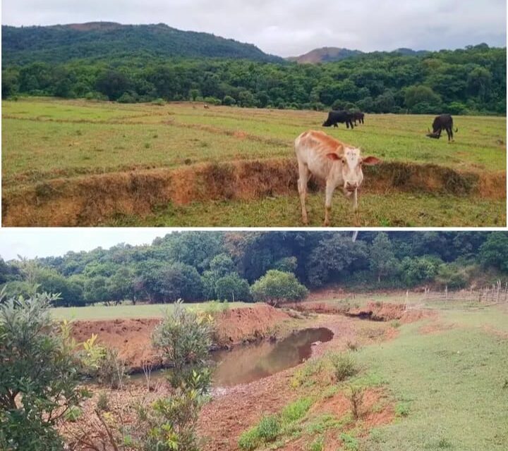 ಮಳೆಗಾಗಿ ಕಾದು ಕುಳಿತ ಖಾನಗಾಂವ ಗ್ರಾಮಸ್ಥರು,ಬತ್ತಿದ ಹಳ್ಳಗಳು; ಆತಂಕದಲ್ಲಿ ರೈತರು