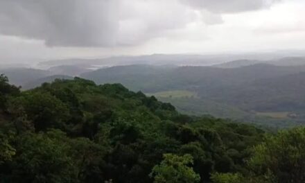 ನೆಟ್‌ವರ್ಕ್‌ಗಾಗಿ ಒಂದೂವರೆ ಗಂಟೆ ಕಾಲ್ನಡಿಗೆ