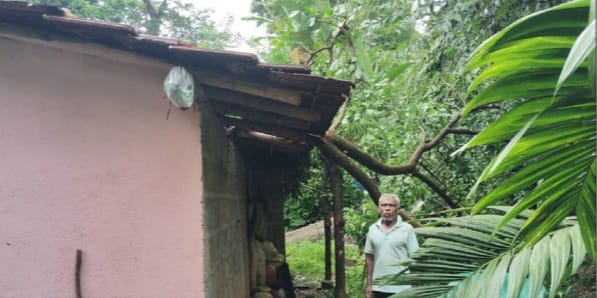 ಉಮ್ಮಚಗಿಯ ಬಾಳೆಗದ್ದೆಯಲ್ಲಿ ಮನೆಯ ಮೇಲೆ ಬಿದ್ದ ಮರದ ಟೊಂಗೆ; ತಪ್ಪಿದ ಅನಾಹುತ