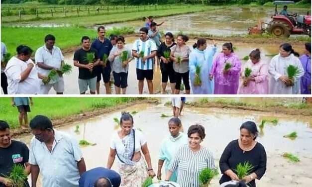 ಗೋವಾದಲ್ಲಿ ಭತ್ತದ ನಾಟಿ ಕಾರ್ಯದಲ್ಲಿ ಭಾಗಿಯಾದ ವಿಜಯ ಸರ್ದೇಸಾಯಿ; ಕೃಷಿಯಲ್ಲಿ AI ತಂತ್ರಜ್ಞಾನ ಬಳಕೆಗೆ ಒತ್ತು