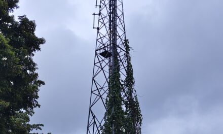 ಜೋಯಿಡಾದಲ್ಲಿ ಏನಿದೆ ಏನಿಲ್ಲ..?
