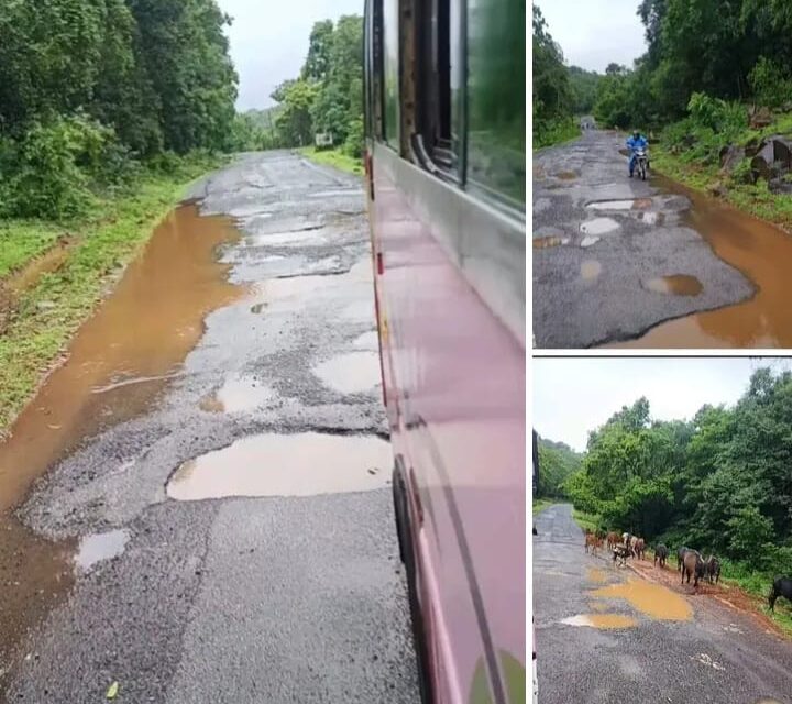 ಮಳೆಗಾಲ ಆರಂಭ,ನುಜ್ಜಿ- ಅಣಶಿ ರಸ್ತೆಯ ಗುಂಡಿಗಳಿಗೆ ನೀರು ತುಂಬಿ ವಾಹನ ಸವಾರರ ಪರದಾಟ