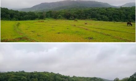 ಜೋಯಿಡಾ ತಾಲೂಕಿನಲ್ಲಿ ಭಾರೀ ಗಾಳಿ- ಮಳೆಯ ನಂತರ ವಾತಾವರಣದಲ್ಲಿ ಕೊಂಚ ನಿರಾಳತೆ