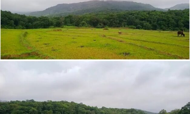ಜೋಯಿಡಾ ತಾಲೂಕಿನಲ್ಲಿ ಭಾರೀ ಗಾಳಿ- ಮಳೆಯ ನಂತರ ವಾತಾವರಣದಲ್ಲಿ ಕೊಂಚ ನಿರಾಳತೆ