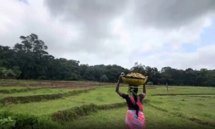 ಜೊಯಿಡಾ ಮಳೆ ಇಲ್ಲ ಕಾಳಿಕಾ ಮಾತೇ ಮುನಿಸಿಕೊಂಡಿರುವಳೇ?