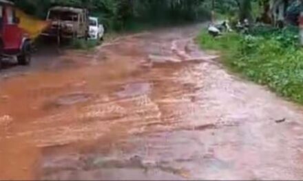 ಹಳ್ಳದಂತಾದ ವಜ್ರಳ್ಳಿ ಗ್ರಾಮದ ರಾಜ್ಯ ಹೆದ್ದಾರಿ