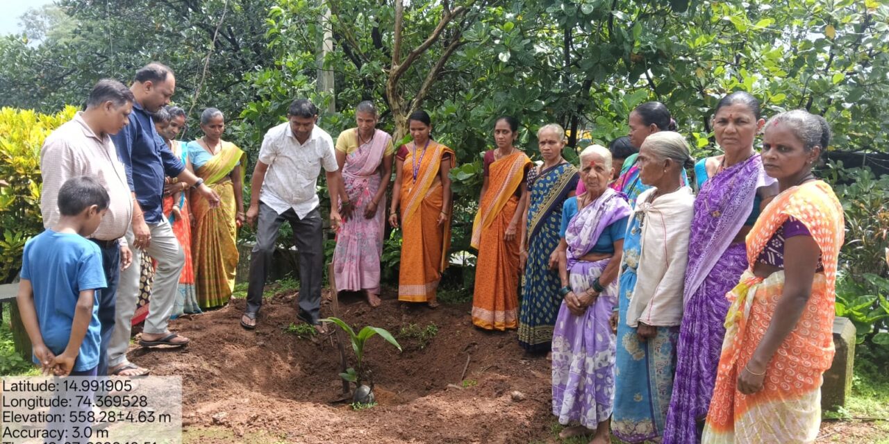 ಅಣಶಿಯಲ್ಲಿ ಗ್ಯಾರಂಟಿ ಅಧ್ಯಕ್ಷ ರು ಸಸಿ ನೆಟ್ಟರು