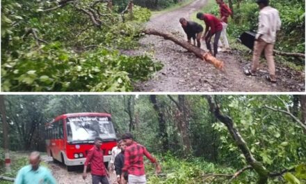 ಬೃಹತ್ ಕೊಂಬೆ ಬಿದ್ದು ಸಂಚಾರಕ್ಕೆ ಅಡಚಣೆ;ಪ್ರಯಾಣಿಕರು, ಕಾಲೇಜು ವಿದ್ಯಾರ್ಥಿಗಳಿಂದ ತೆರವು