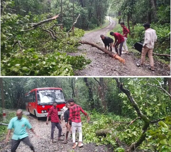 ಬೃಹತ್ ಕೊಂಬೆ ಬಿದ್ದು ಸಂಚಾರಕ್ಕೆ ಅಡಚಣೆ;ಪ್ರಯಾಣಿಕರು, ಕಾಲೇಜು ವಿದ್ಯಾರ್ಥಿಗಳಿಂದ ತೆರವು