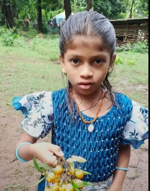 ಭೇಡಮುಡ್ಕ (Bhedmudka) ಜೋಯಿಡಾ ತಾಲೂಕಿನ ಅರಣ್ಯದ ಹುಳಿ ಕಾಡುಹಣ್ಣು