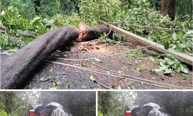 ಗ್ರಾಮಸ್ಥರ ಸಮಯೋಚಿತ ಕಾರ್ಯದಿಂದ ತಪ್ಪಿದ ಅನಾಹುತ..?