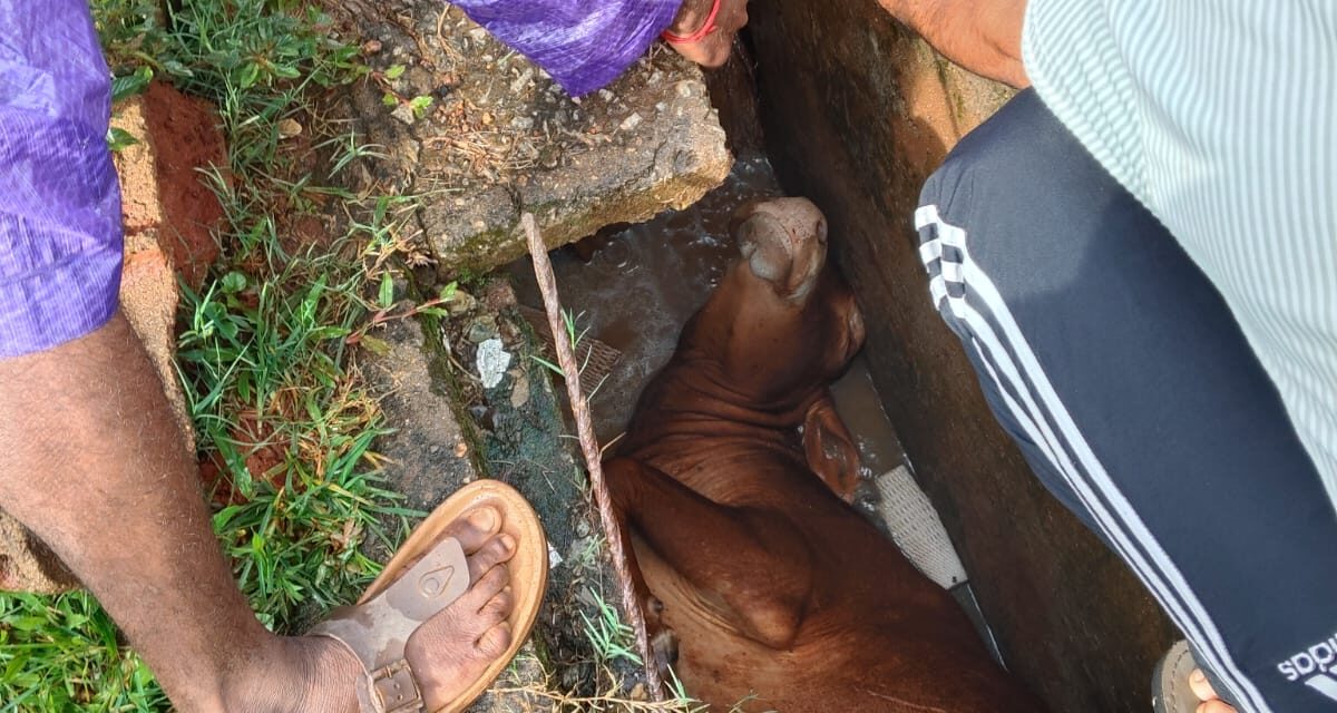 ಜೋಯಿಡಾದಲ್ಲಿ ಮೃತ್ಯು ಕೂಪವಾಗುತ್ತಿರುವ  ಗಟಾರಗಳು…!