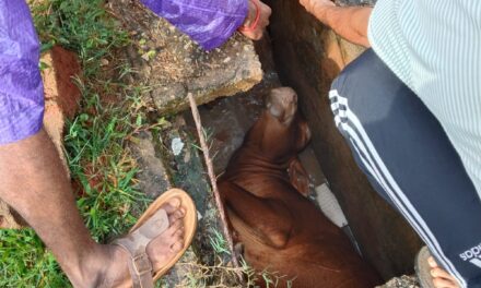 ಜೋಯಿಡಾದಲ್ಲಿ ಮೃತ್ಯು ಕೂಪವಾಗುತ್ತಿರುವ  ಗಟಾರಗಳು…!