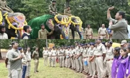 ಫಣಸೋಲಿ ಆನೆ ಶಿಬಿರದಲ್ಲಿ ಸಂಭ್ರಮದಿಂದ ವಿಶ್ವ ಆನೆ ದಿನಾಚರಣೆಯ ಆಚರಣೆ