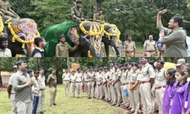 ಫಣಸೋಲಿ ಆನೆ ಶಿಬಿರದಲ್ಲಿ ಸಂಭ್ರಮದಿಂದ ವಿಶ್ವ ಆನೆ ದಿನಾಚರಣೆಯ ಆಚರಣೆ