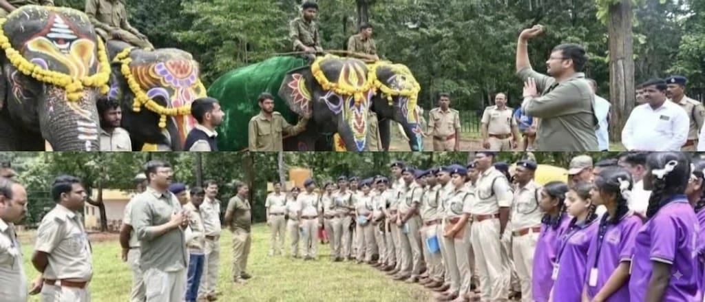 ಫಣಸೋಲಿ ಆನೆ ಶಿಬಿರದಲ್ಲಿ ಸಂಭ್ರಮದಿಂದ ವಿಶ್ವ ಆನೆ ದಿನಾಚರಣೆಯ ಆಚರಣೆ