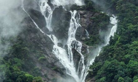 ಒಮ್ಮೆ ಕಣ್ ತುಂಬಾ….ನೋಡುವ ಆಸೆ … ದೂದ್ ಸಾಗರ್………