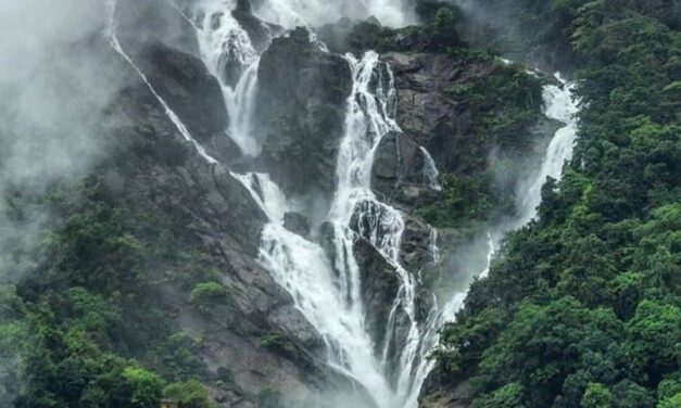 ಒಮ್ಮೆ ಕಣ್ ತುಂಬಾ….ನೋಡುವ ಆಸೆ … ದೂದ್ ಸಾಗರ್………