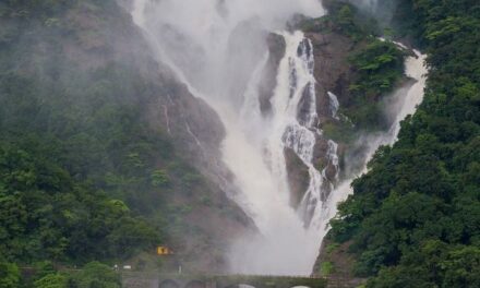 ಪ್ರವಾಸಿಗರ ಕೈ ಬೀಸಿ ಕರೆಯುತ್ತಿದೆ ಧೂಧಸಾಗರ