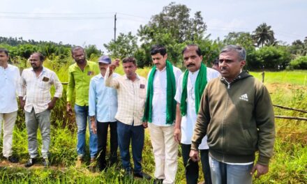 ಸಿದ್ದಾಪುರ ತಾಲೂಕನ್ನು ಬರಪೀಡಿತ ಎಂದು ಘೋಷಿಸಿ-ಅನಂತಮೂರ್ತಿ ಹೆಗಡೆ