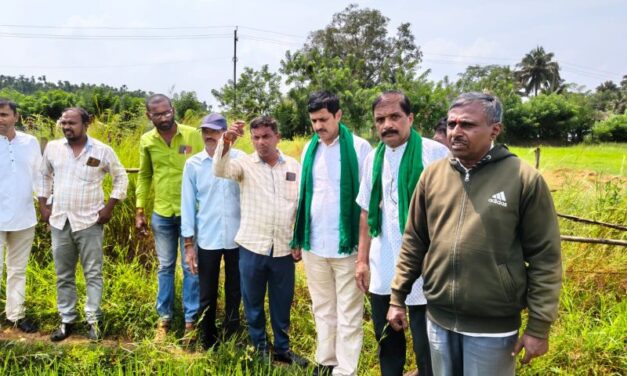 ಸಿದ್ದಾಪುರ ತಾಲೂಕನ್ನು ಬರಪೀಡಿತ ಎಂದು ಘೋಷಿಸಿ-ಅನಂತಮೂರ್ತಿ ಹೆಗಡೆ