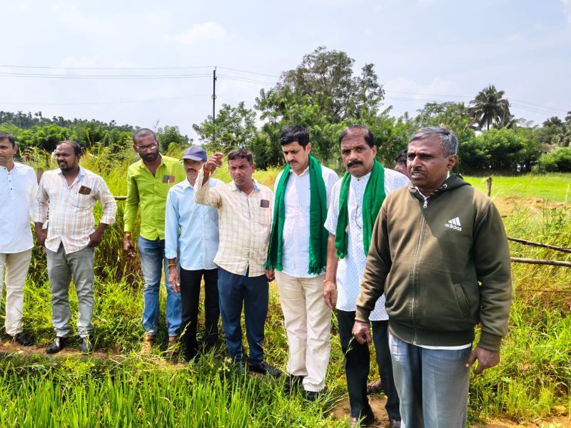 ಸಿದ್ದಾಪುರ ತಾಲೂಕನ್ನು ಬರಪೀಡಿತ ಎಂದು ಘೋಷಿಸಿ-ಅನಂತಮೂರ್ತಿ ಹೆಗಡೆ