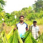 ವೈಯಕ್ತಿಕ ದ್ವೇಷಕ್ಕೆ ಅಡಿಕೆ ತೋಟ ಕಡಿದ ಕಿಡಿಗೇಡಿಗಳು