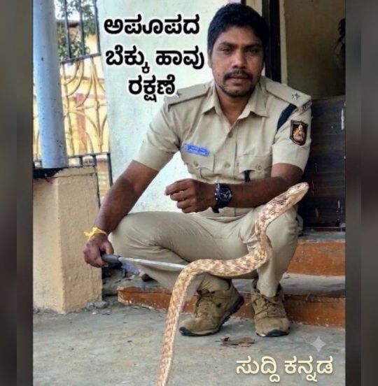 ಅರಣ್ಯ ಇಲಾಖೆಯ ಸಿಬ್ಬಂದಿಯಿಂದ ಅಪರೂಪದ ಬೆಕ್ಕು ಹಾವು ರಕ್ಷಣೆ